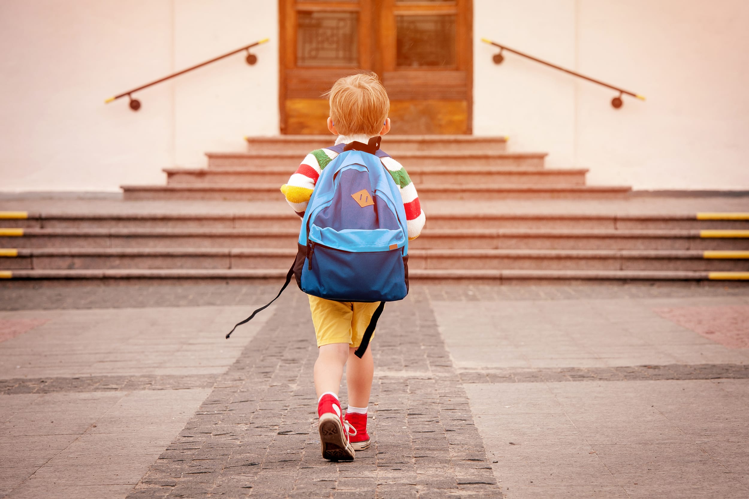 Go to school предложения