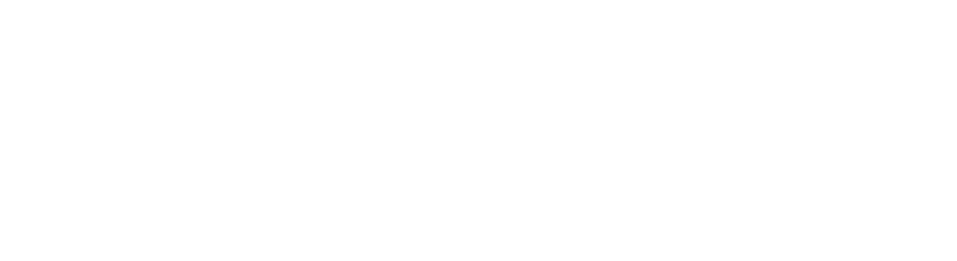 american montessori academy south loop logo